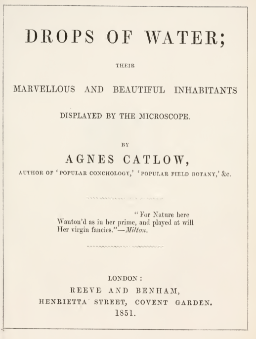 A white paper with black text
Description automatically generated