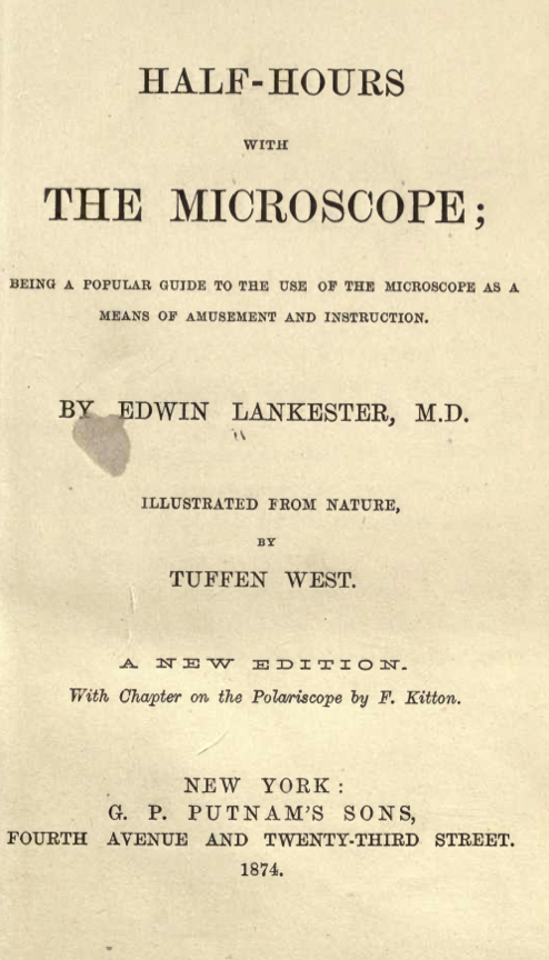 A book cover with text
Description automatically generated