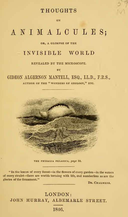 A book cover with a drawing of a dinosaur
Description automatically generated