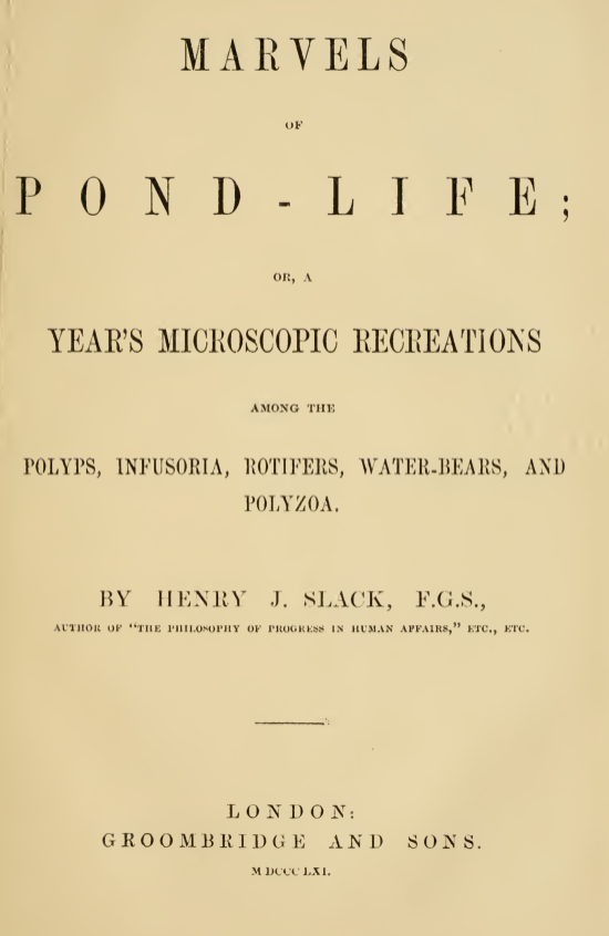 A book cover with black text
Description automatically generated