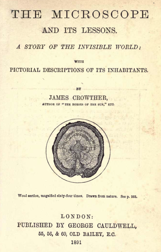 A book cover with a picture of a human brain
Description automatically generated