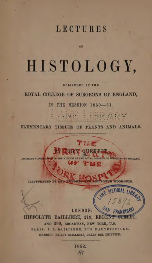 A close-up of a document
Description automatically generated