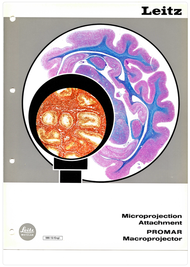 A close-up of a book
Description automatically generated