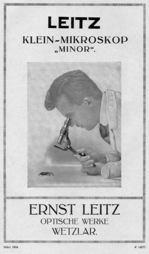 A person looking through a microscope
Description automatically generated