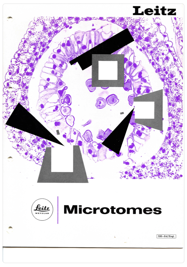 A close-up of a book cover
Description automatically generated