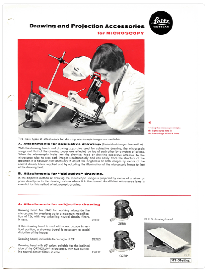 A person looking through a microscope
Description automatically generated