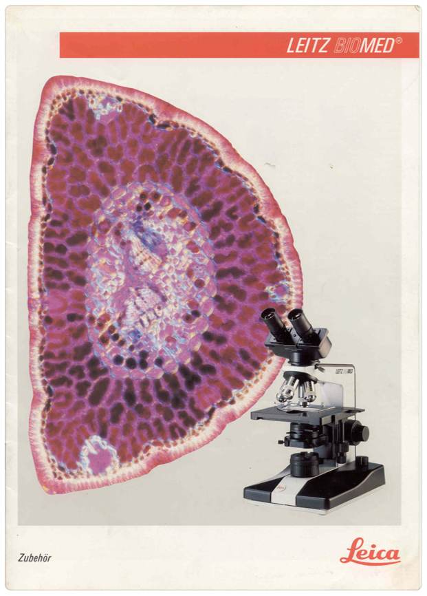 A microscope and a pink and purple object
Description automatically generated