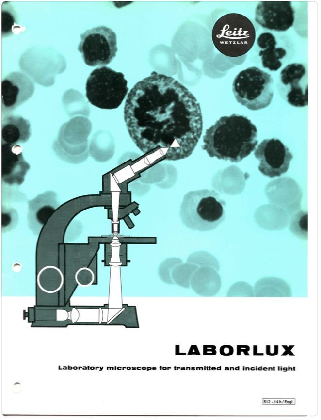 A microscope and bacteria under microscope
Description automatically generated with medium confidence