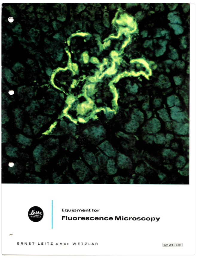 A cover of a book
Description automatically generated