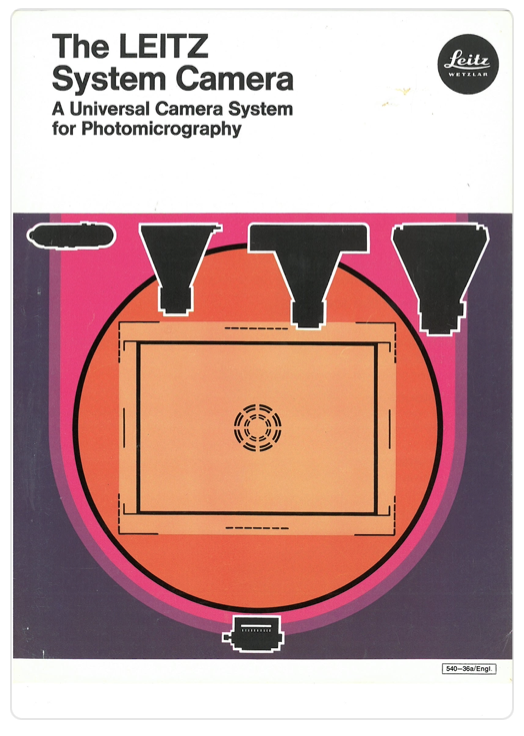 A cover of a book
Description automatically generated