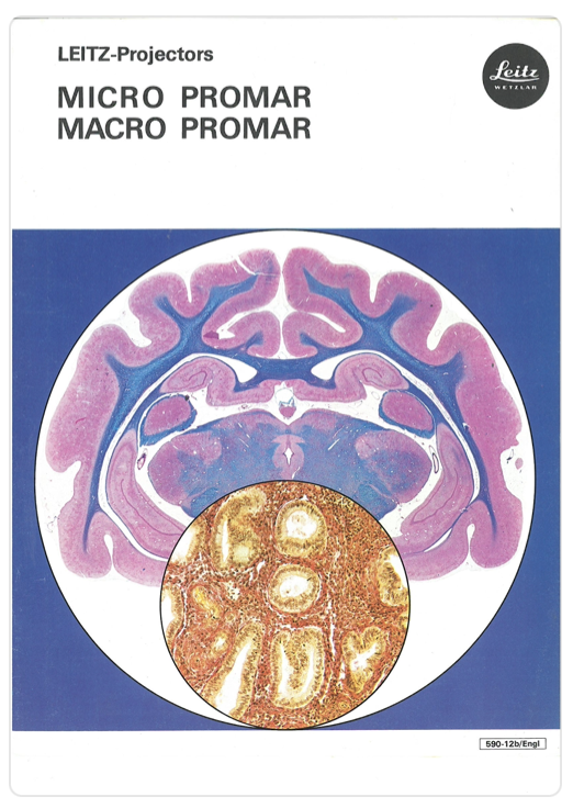 A book cover with a picture of a brain
Description automatically generated