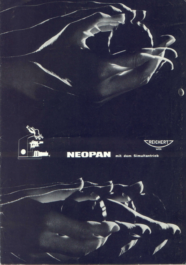 A close-up of hands
Description automatically generated