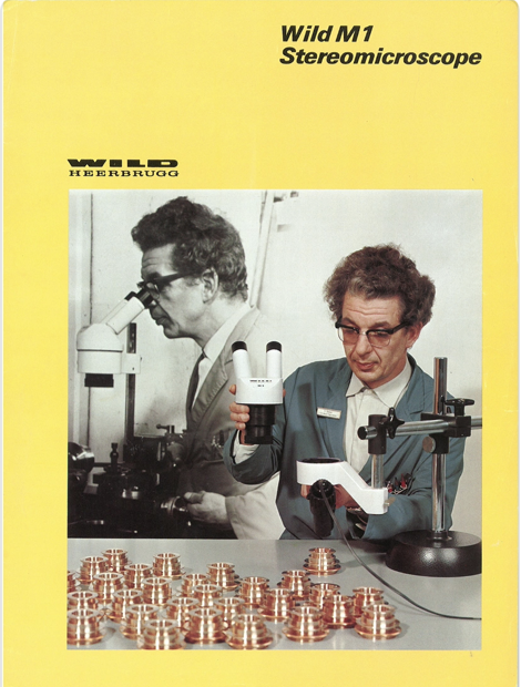 A person looking through microscopes
Description automatically generated