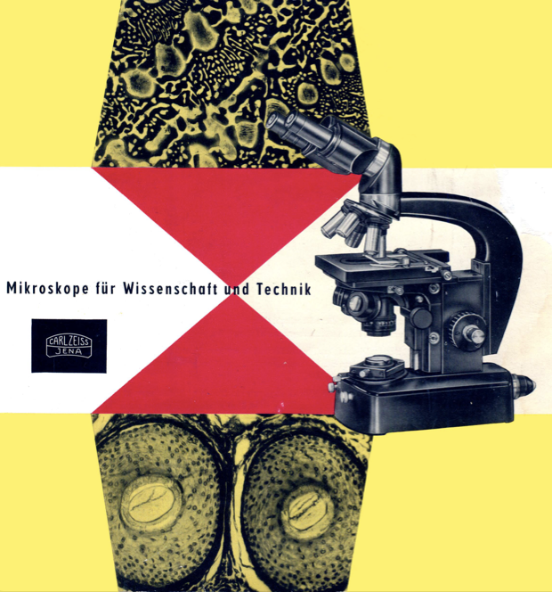 A cover of a book
Description automatically generated