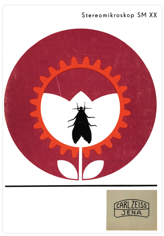 A logo with a bug in the center of a flower
Description automatically generated