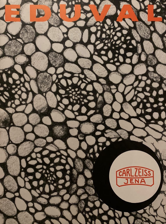 A black and white patterned surface with a circle with a red logo
Description automatically generated