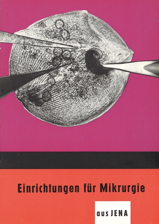 A cover of a book
Description automatically generated