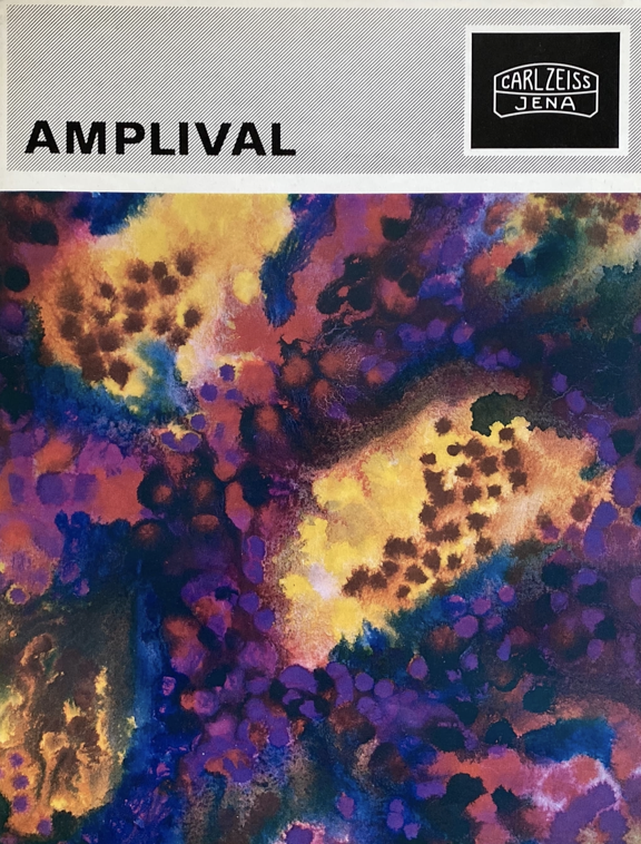 A cover of a music album
Description automatically generated