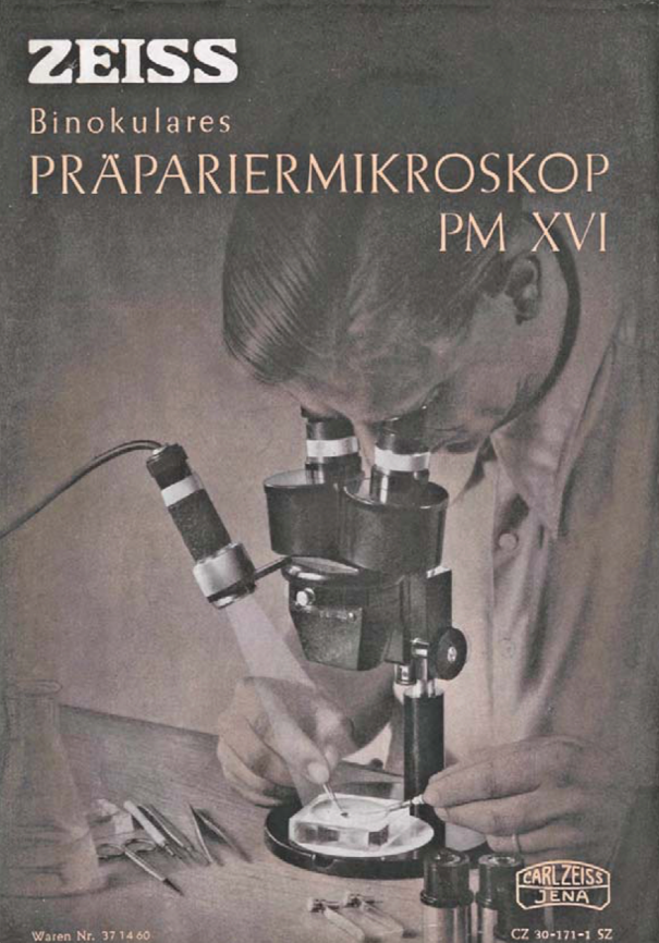 A person looking through a microscope
Description automatically generated