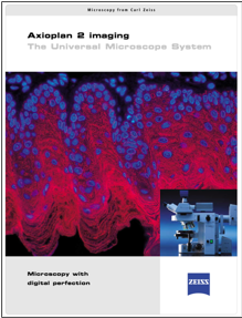 A cover of a book
Description automatically generated