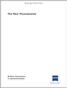 A white paper with black text
Description automatically generated