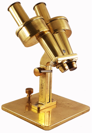 A gold microscope on a white background
Description automatically generated