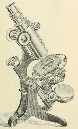 A picture containing weapon
Description automatically generated