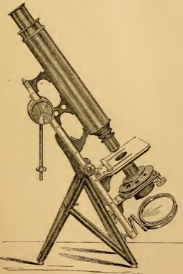 A picture containing text
Description automatically generated