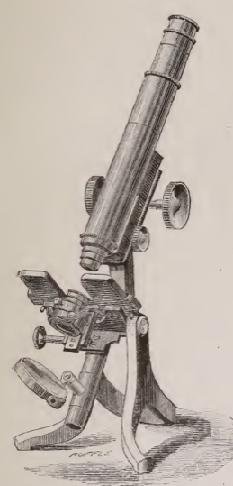 A picture containing text
Description automatically generated