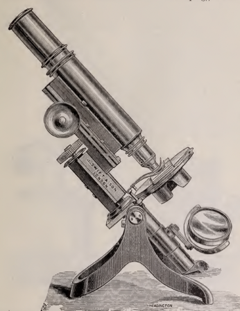 A picture containing weapon
Description automatically generated