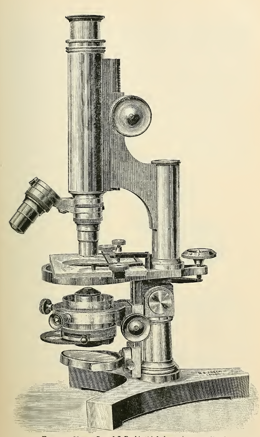 A picture containing wall, indoor, old
Description automatically generated