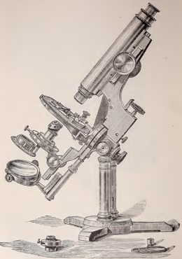 A picture containing weapon
Description automatically generated