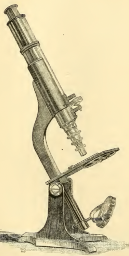 A close-up of a sword
Description automatically generated with medium confidence