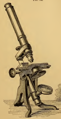 A picture containing text
Description automatically generated