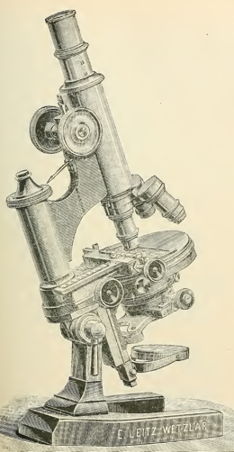 A picture containing old
Description automatically generated