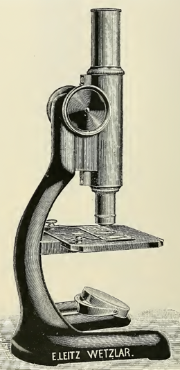 A picture containing text
Description automatically generated