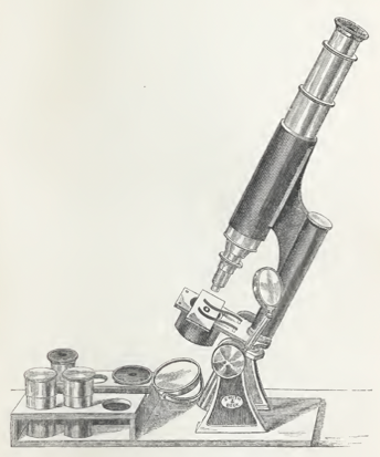A close-up of a gavel and several coins
Description automatically generated with low confidence