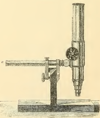 A picture containing text
Description automatically generated