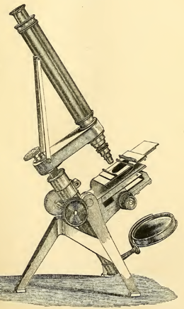 A picture containing weapon
Description automatically generated