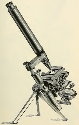 A close-up of an object
Description automatically generated with low confidence