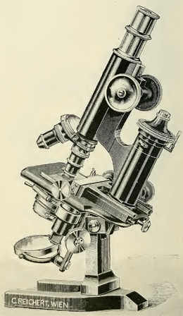 A picture containing text
Description automatically generated