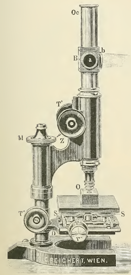 A picture containing text, old
Description automatically generated