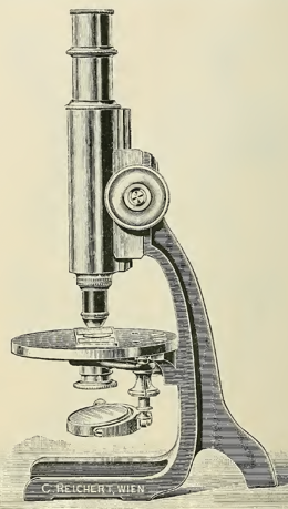 A picture containing text
Description automatically generated