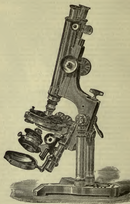 A picture containing text
Description automatically generated