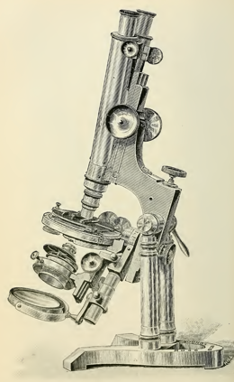 A picture containing wall, indoor, old
Description automatically generated