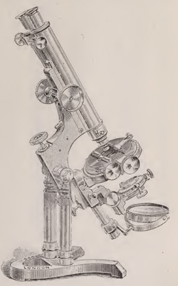 A picture containing wall, old
Description automatically generated