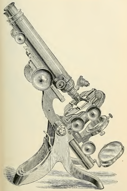 A picture containing wall, weapon
Description automatically generated