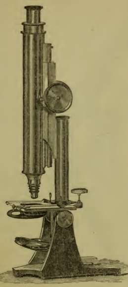 A picture containing text, wall, indoor, old
Description automatically generated