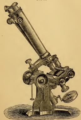 A picture containing text
Description automatically generated