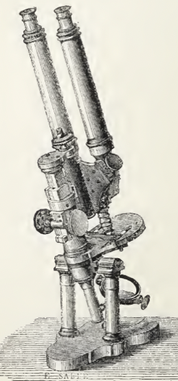 A picture containing old
Description automatically generated